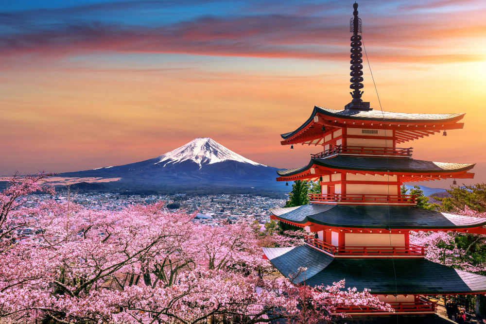 BEST OF JAPAN AND SOUTH KOREA : 14N/15D
