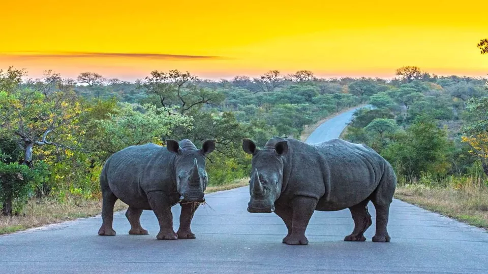 SPLENDID SOUTH AFRICA WITH CHOBE NATIONAL PARK & VICTORIA FALLS: 12N/13D