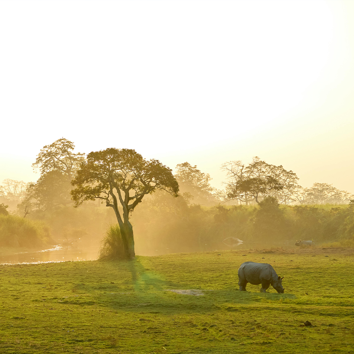 ASSAM <BR>4N/5D